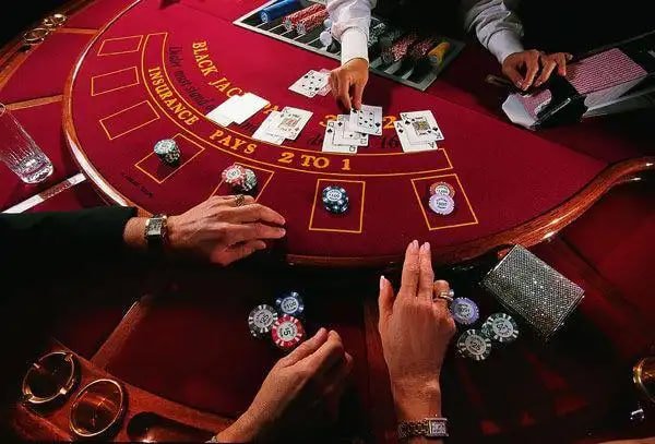 win vip bet win vip bet